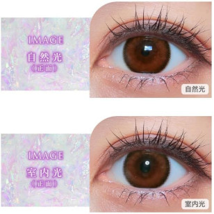 COLOR MAJORITY 1Day Eclair Brun カラーマジョリティー エクレールブラン